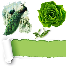 Resim Yeşil Kazan Mum Boyası 10 gr