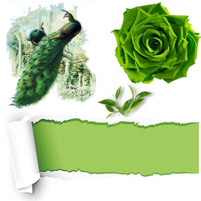 Resim Yeşil Granül Mum Boyası 10 gr